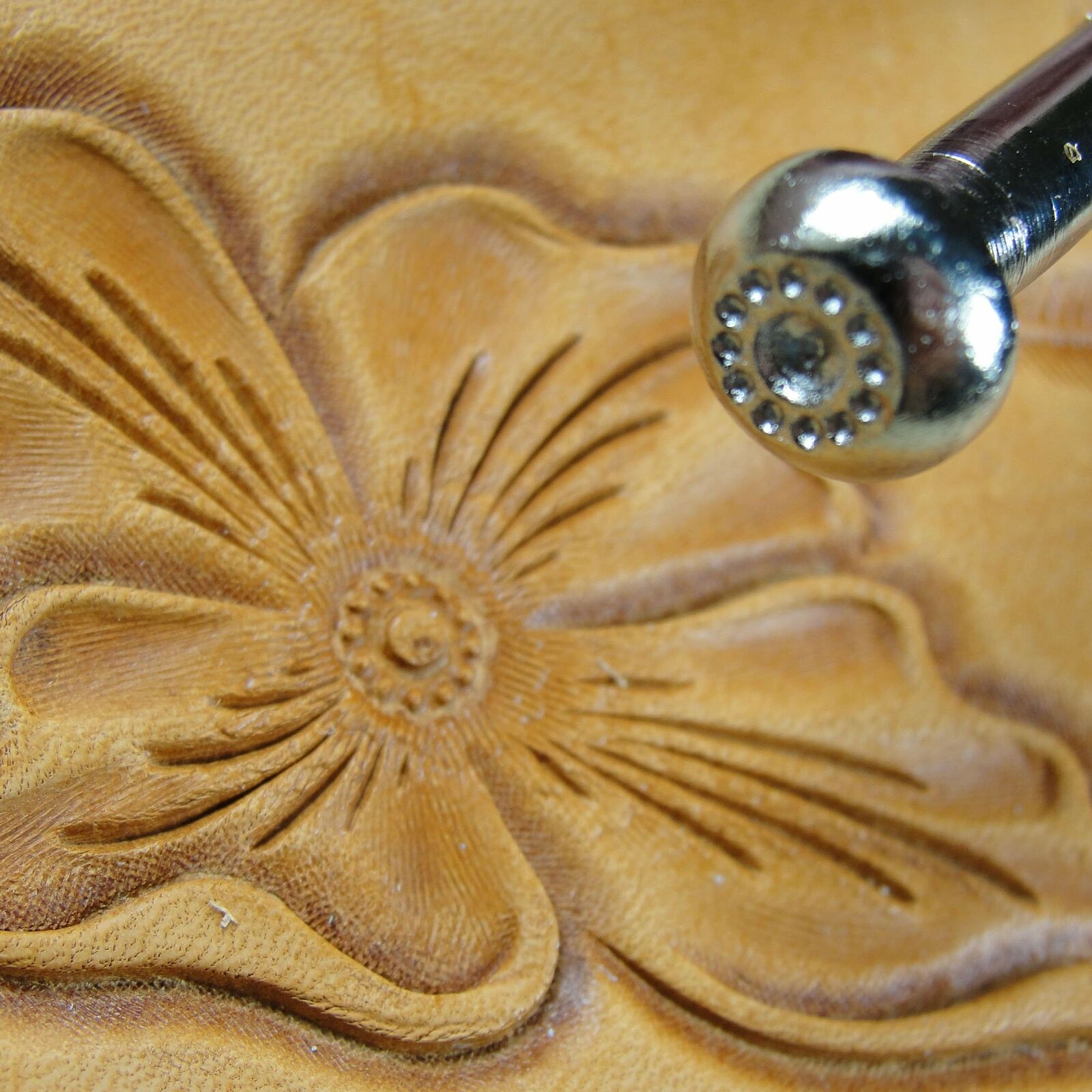 Leather Stamping Tool - #J520 12-Seed Flower Center Stamp